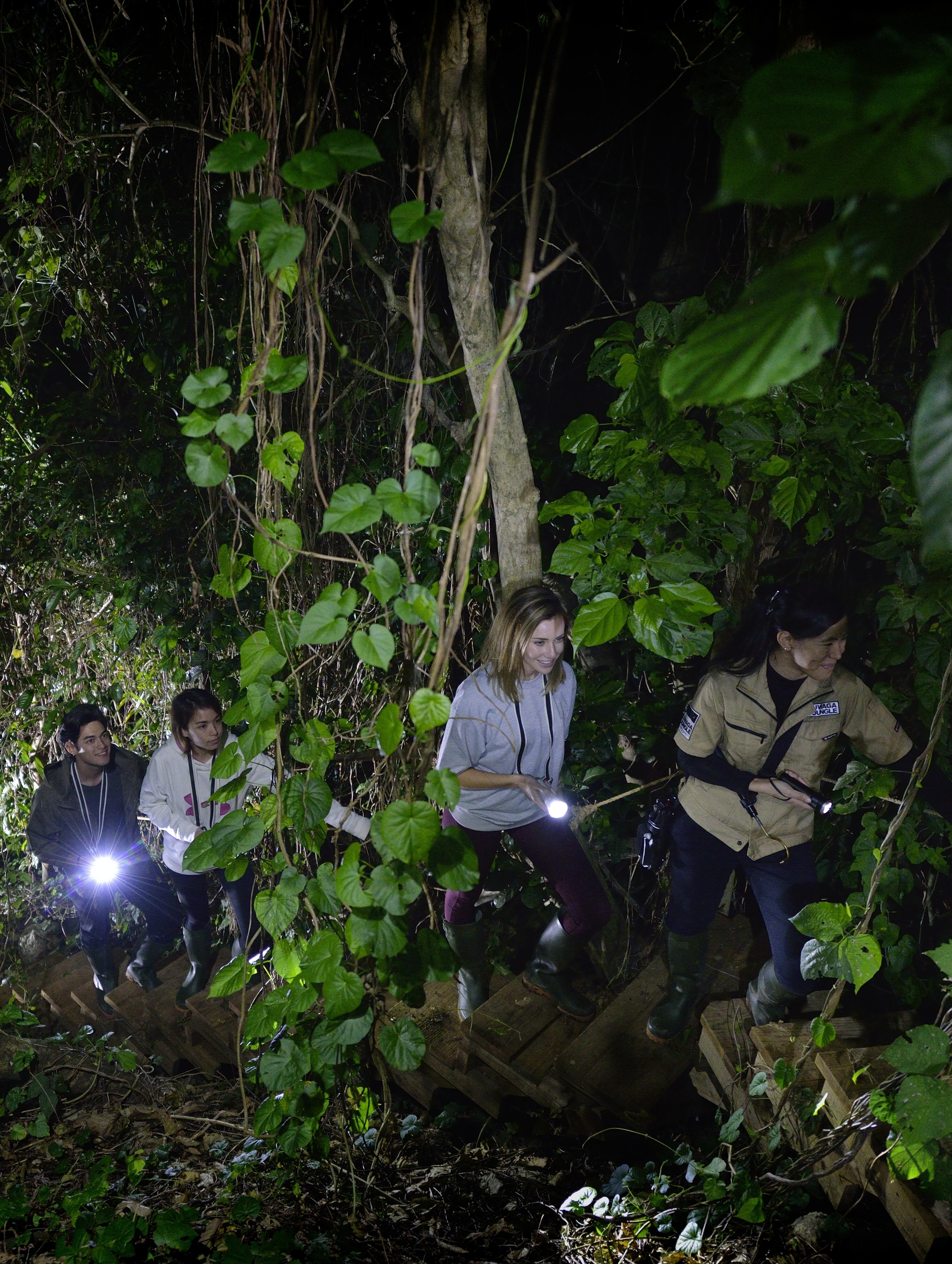 UWAGA JUNGLE? (2). jpg