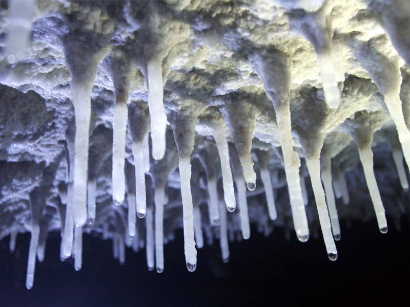 Mini Exhibition Speleothem's Secret